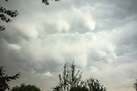 Mammatus small